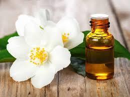 Pure Jasmine Essential Oil