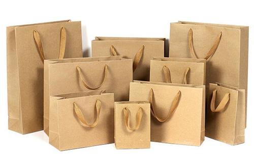 Designer Kraft Paper Bags