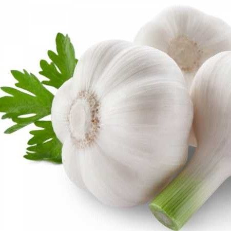 Fresh Garlic For Vegetables