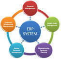 Painted Enterprise Resource Planning Software Designing Services