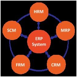 ERP Services