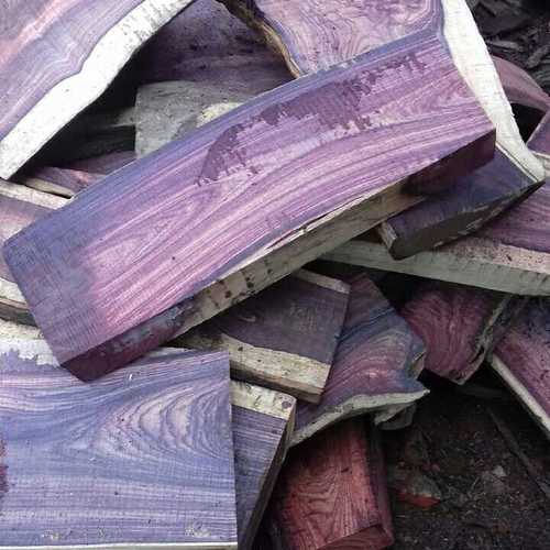 Natural Rose Wood Logs At Best Price In Nagina R K Qood Works