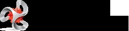 Dotnetnuke Development Service