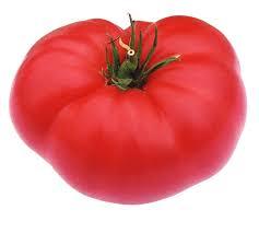 Shimla Mirch Capsicum