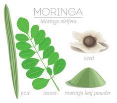 Organic Moringa Leaf Powder