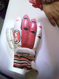 Sports Hand Gloves