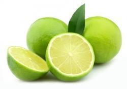 Low Price Fresh Sweet Lime