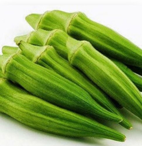 Fresh And Green Okra