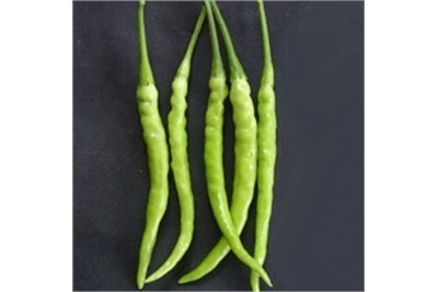 Fresh Green Chilli - Pure Quality, Maintained Freshness & Diverse Packaging Options