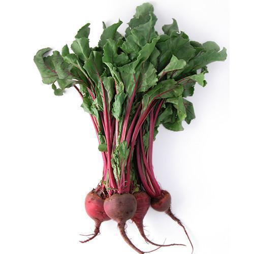 Good Quality Fresh Beetroot