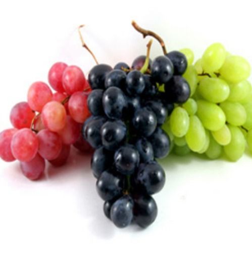 High Grade Fresh Grapes