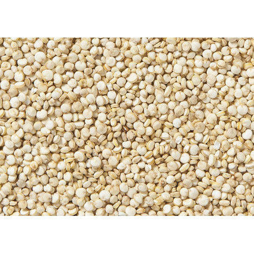 Organic White Grain Quinoa Indian