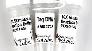 Taq DNA Polymerase With Standard Taq Buffer 400 Units