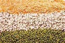 Common Best Quality Moong Dal