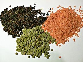 High Grade Whole Lentils