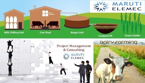Glass Dairy Farming And Management Infrastructure Consulting Service