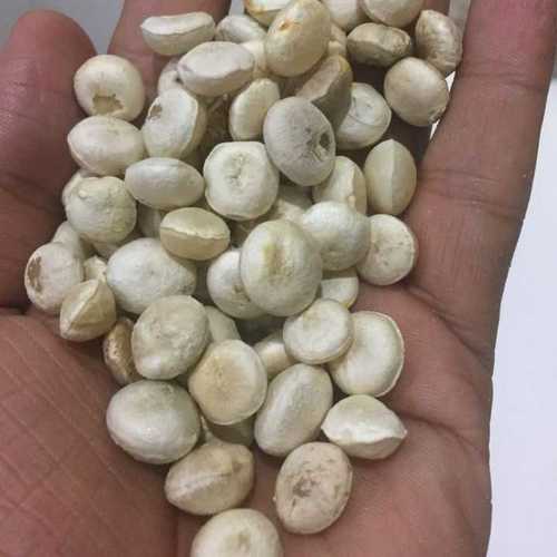 Indian Natural Nirmali Seeds