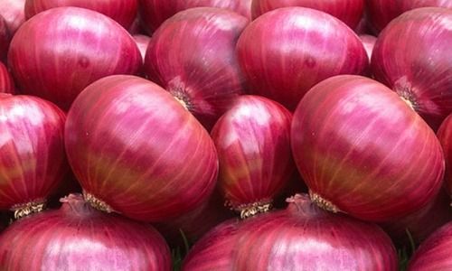 Organic Pink Onions