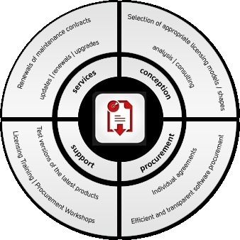 सॉफ्टवेयर लाइसेंसिंग और प्रबंधन सेवाएं