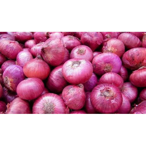 Excellent Quality Red Onion