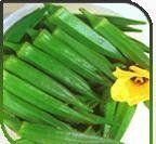 Healthy And Nutritious Hybrid Okra Seeds