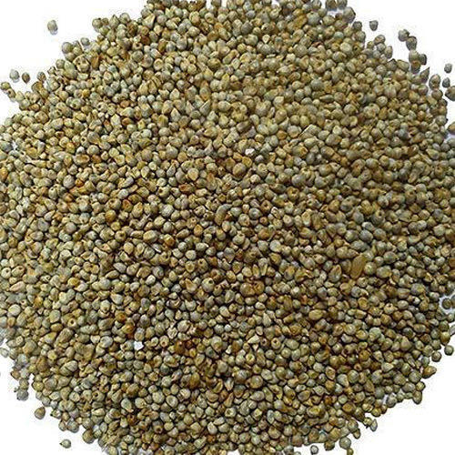Properly Packed Pearl Millet Seeds