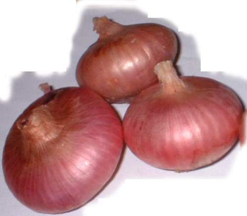 Rich In Taste Fresh Red Onion
