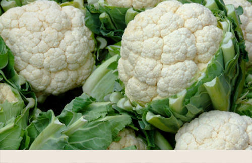 Rich Taste Fresh Cauliflower