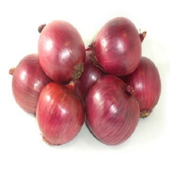 Superior Quality Red Onions