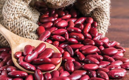 Fresh Organic Kidney Beans