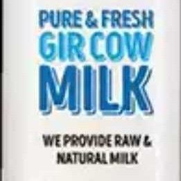 Full Pure Cow Milk 