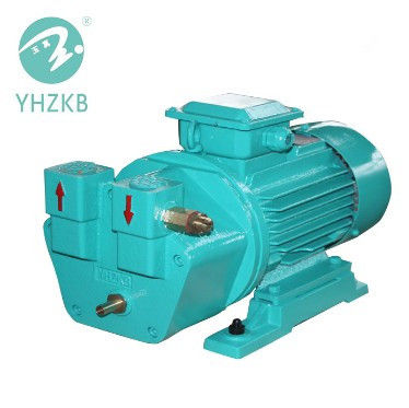 Industrial Ring Vacuum Pump