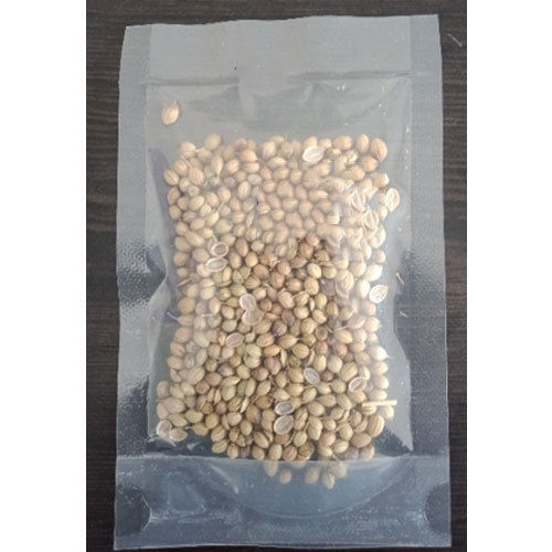 Natural Coriander Seeds