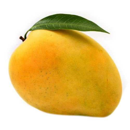 Organic Fresh Mango