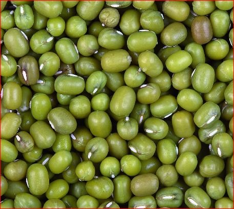 Natural Green Mung Bean