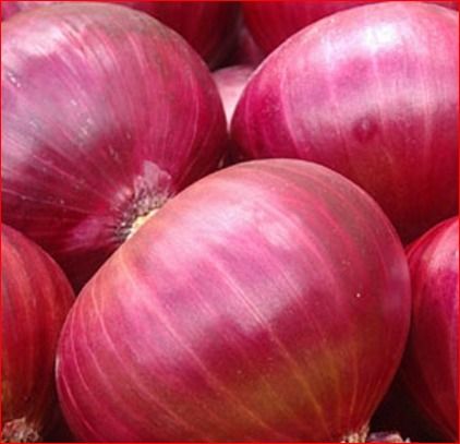 Red And White Onion
