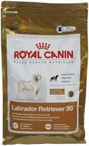 Labrador Retriever Formula Dog Food Labrador 30 Lb (Royal Canin)