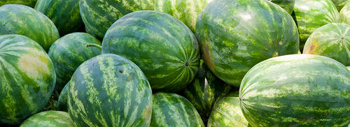 Tasty Green Watermelon