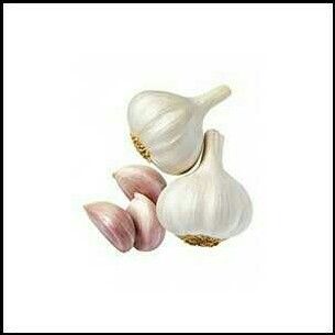 Fresh Pure White Garlic