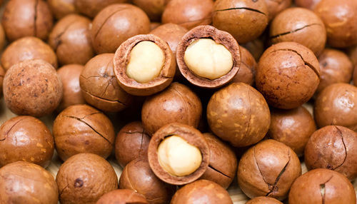 Top Grade Macadamia Nuts