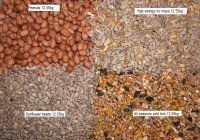 Bird Feed Variety Packs