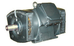 Open Type Low Voltage Motors