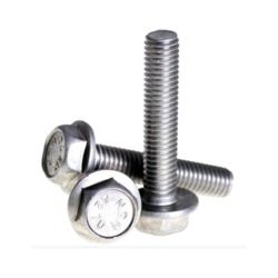 Stainless Steel Bolts