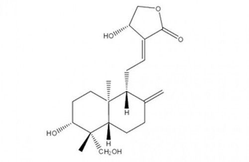 Andrographolide - Technical Grade, HPLC 10% 95% Pure White to Grayish Crystalline Powder, Aluminium Packed 1kg & 25kg