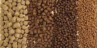 Pelleted Aquatic Fish Feed