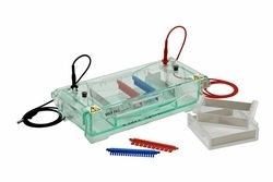 Top Grade Horizontal Electrophoresis