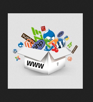 Design And Development Service