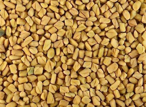 Excellent Quality Fenugreek Seed All