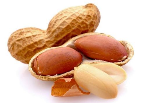 Fresh And Healthy Peanut