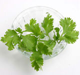 Good Taste Coriander Seed BladeÂ Size: 3760X27